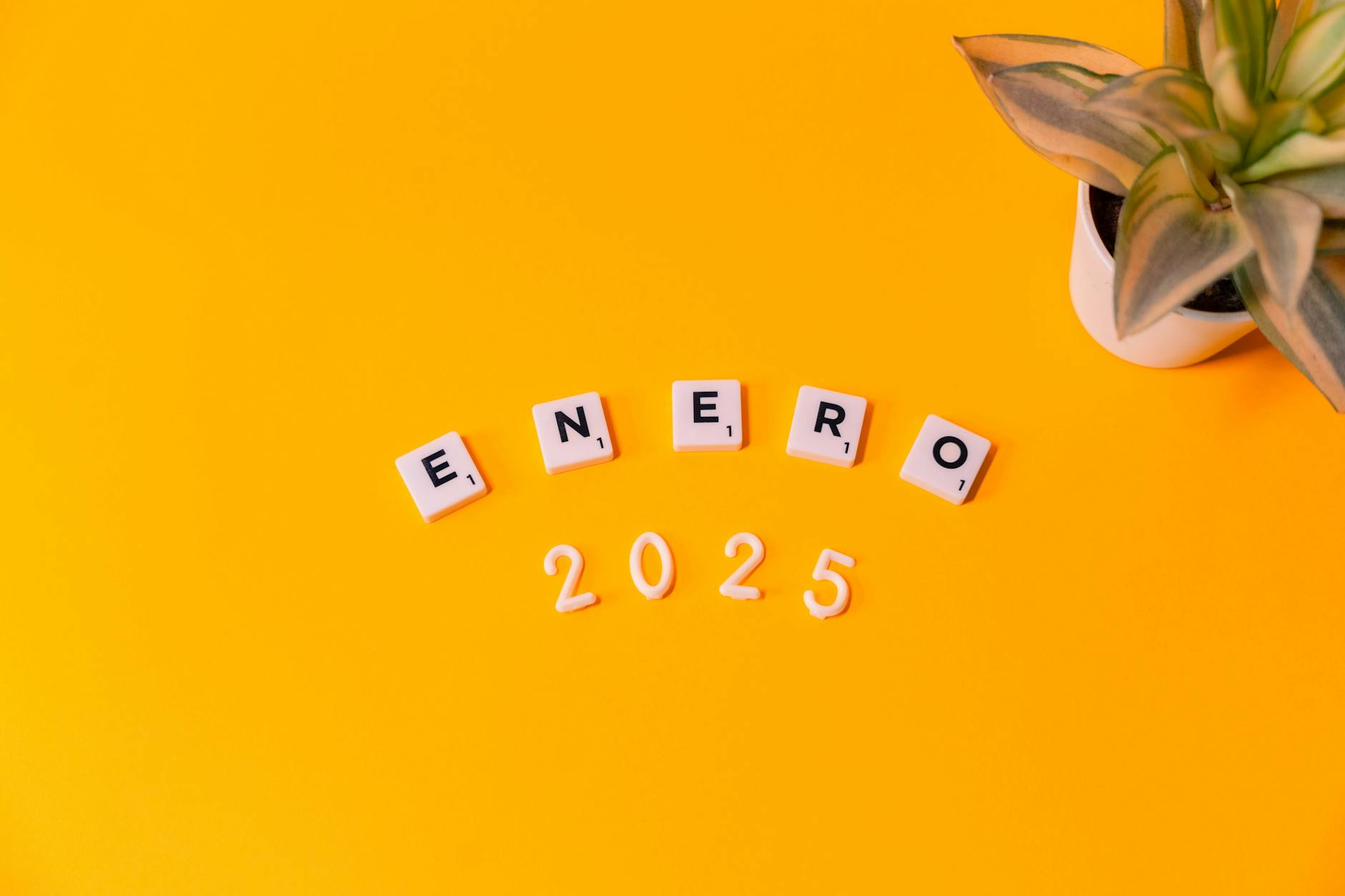 Analiza budżetu Luboń 2025 - dane finansowe miasta, dochody i wydatki